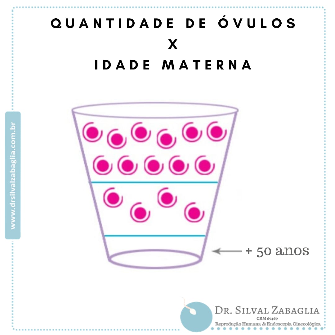 Quantidade de Óvulos X Idade Materna | Dr. Silval Zabaglia